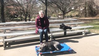 Pitbull Mix "Lucas" l Owner Testimonial l Hampton Roads Dog Trainers