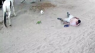 TRY NOT TO LAUGHING I Best Funny Videos Compilation 2023 # 81