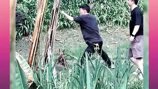 TRY NOT TO LAUGHING I Best Funny Videos Compilation 2023 # 82