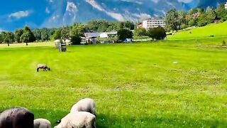 breathtaking beauty of Switzerland