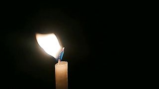 CANDLE LIGHT