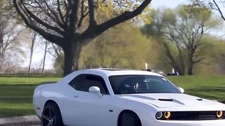 white color car