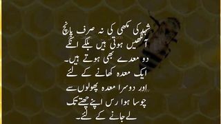 General knowledge in urdu #urduquotes 6