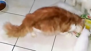 Makan bersama 4