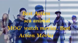 Best Action  Several fishermen have been attacked by sea animals