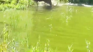 une baignade