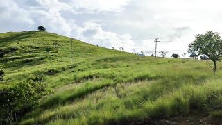 Flores Island Tanjung Kajuwulu Maumere
