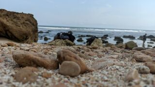 SPOT SEJUTA UMAT