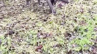 balade sous la pluie