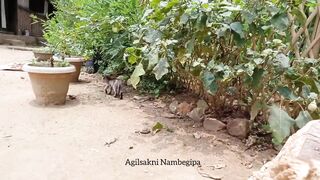 so cute baby cats