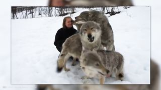 Ces animaux retrouvent leurs propriétaires après des années! 2