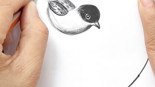 How To Draw Sparrow In Hand Made Painting.. #sparrow #febspot