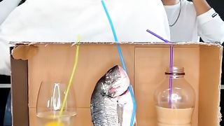 WILD Taste Challenge