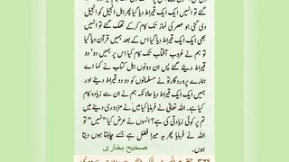 میری جَانب بھی ہو اِک نگاہِ کرم، اے شفیع الواریٰﷺ، خاتم الانبیاءﷺ 11