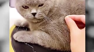 Latest funny video 2