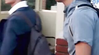 shorts 7