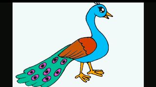 Peacock drawing kese kre|how to draw peacock|