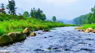 Nature and Quran..