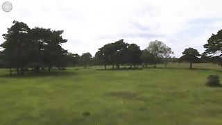New Forest - from the air Mavic Air 2