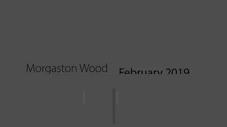 Morgaston Wood