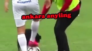 ANJING SUKA BOLA _ DOGS LOVE BALLS