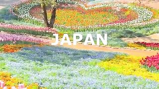 Japan 4