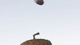 Funny cartoon video 5