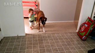 Adorable Babies Playing With Dogs and Cats 2