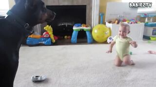 Big Dogs Playing with Babies