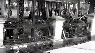 funny videos to make you laugh