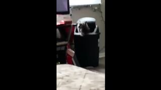 UNUSUAL MEMES COMPILATION V230