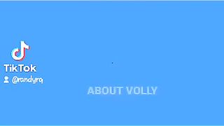 Vollystory