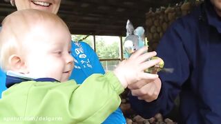 Funny baby 26