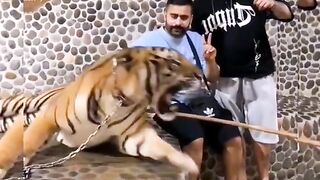 Funny video so Funny