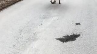 Приколи 9