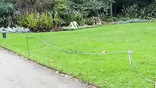 BEAUTIFUL WALKING PATH