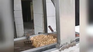 Shawarma chicken ????