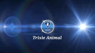 Cute Baby Puppies Cute And Funny Dog Video Compilation