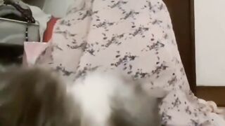 Kucing gak ada akhlaknya