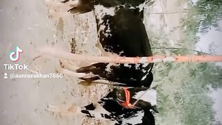 ماشاءاللّٰه 8