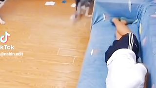 Funny video 955