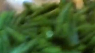 How to make Green Bean Recipe #shorts #viral qurashi
