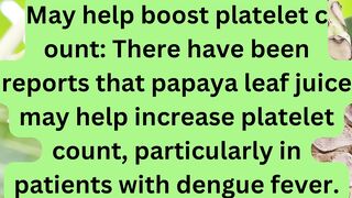 Papaya leaf juice