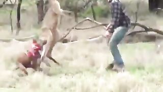 la hagra sa paye pas