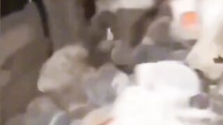 TRY NOT TO LAUGH LEVEL: IMPOSSIBLE