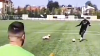 TRY NOT TO LAUGH LEVEL: IMPOSSIBLE 2