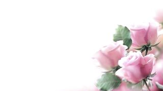 Favorite roses & Beautiful flowers (HD1080p).