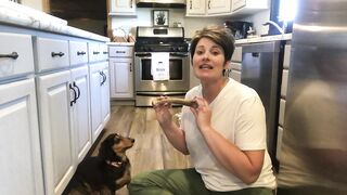 Why we love the dog antler chews from Perfect Pet Chews