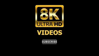 Small BIRDS 8K ULTRA HD with Names and Sounds.
