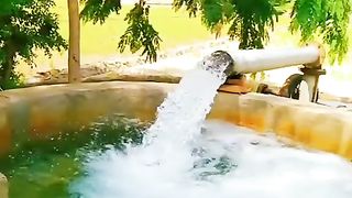 Beauty of Punjab